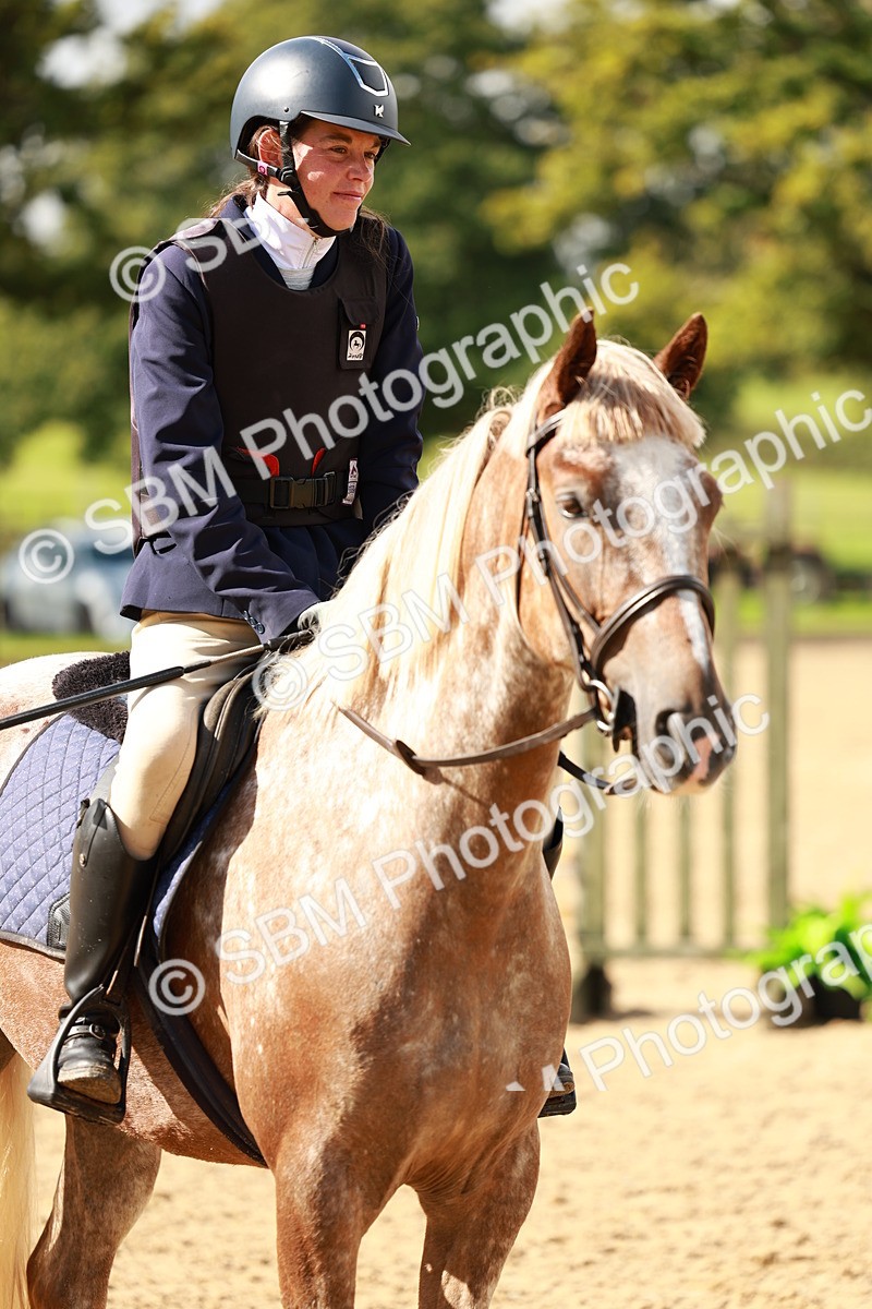 SBM_38114 - J39 - Senior Horse & Pony 85cm Championship