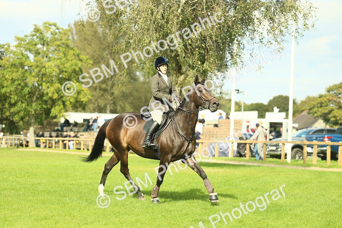 SBM_48010 - S32 - Novice & Newcomers Working Hunter