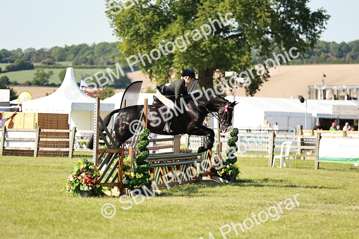 SBM_19185 - Class 115-116 - LIHS BSHA Rising Star Working Hunter & Show Horse