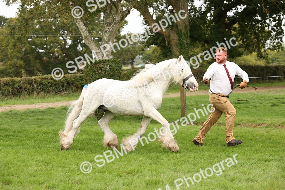SBM_59301 - S57 - Traditional Cob In Hand