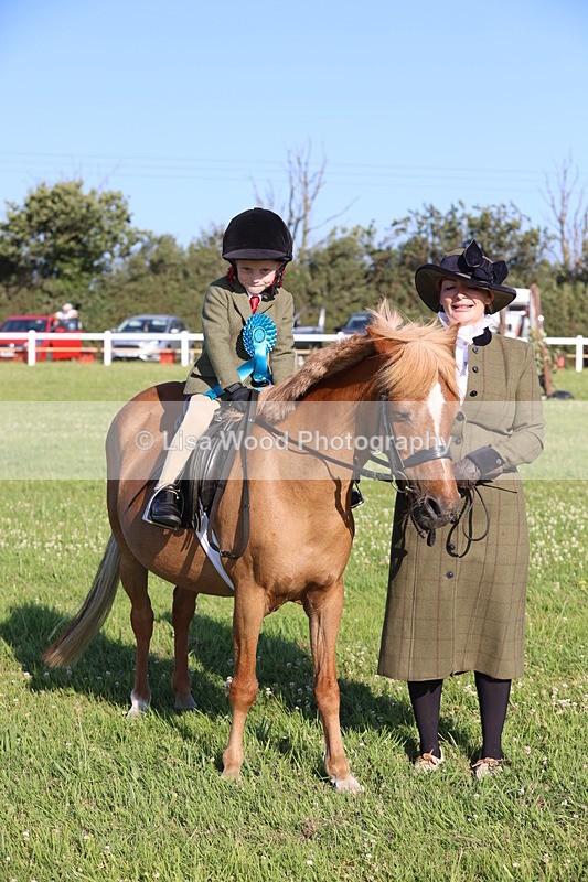 JPP_0912 - Class 16: Cornish Combination Leading Rein