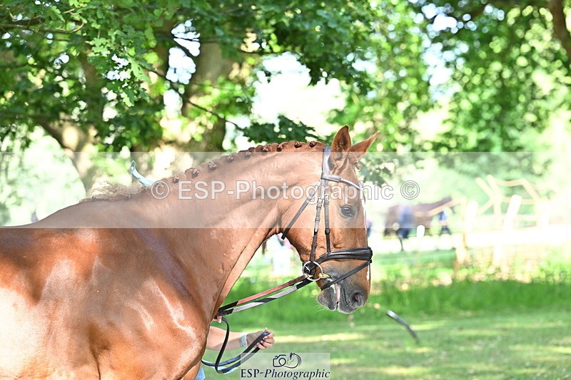 250521A-161600-01025 - C-261-Danielle.Dunn-ICI.DOR.DE.DONNA.CADANZA.Z