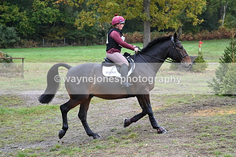 WJ7_3351 - Time 11:13 to 11:32