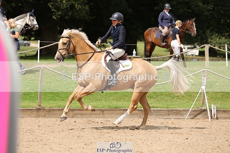 240817-115355-01181 - 03B1.00m Open