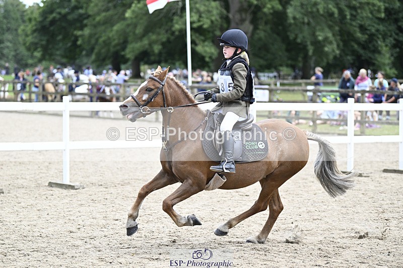 240822X-152500-11766 - 40cm A R2 15.00 to 16.16