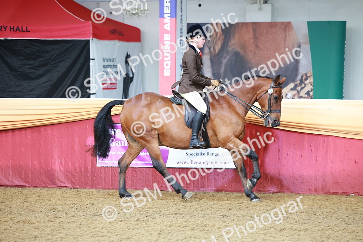 SBM_11833 - Class 102 - Equitation (Best Rider) Adult