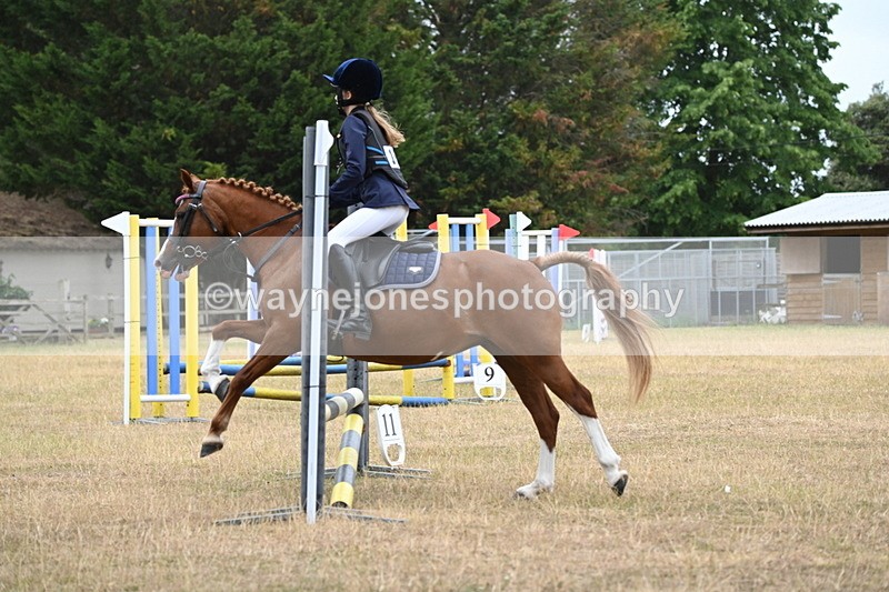 WJ6_0161 - Class 13 Novice Jumping 60cm