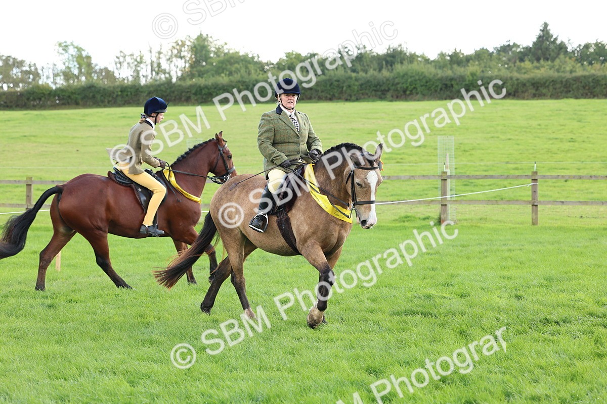 SBM_45574 - S33 - Working Hunter Pony