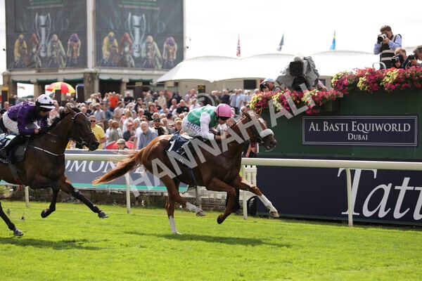 yr17082022r2-28 - Race 2 2.25pm Tattersalls Acomb Stakes