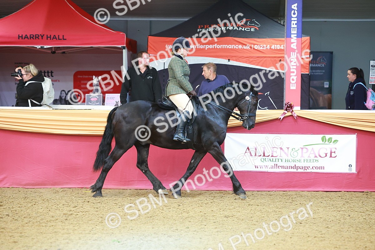SBM_09604 - Class 102 - HOYS Veteran Qualifier - Ridden Veteran