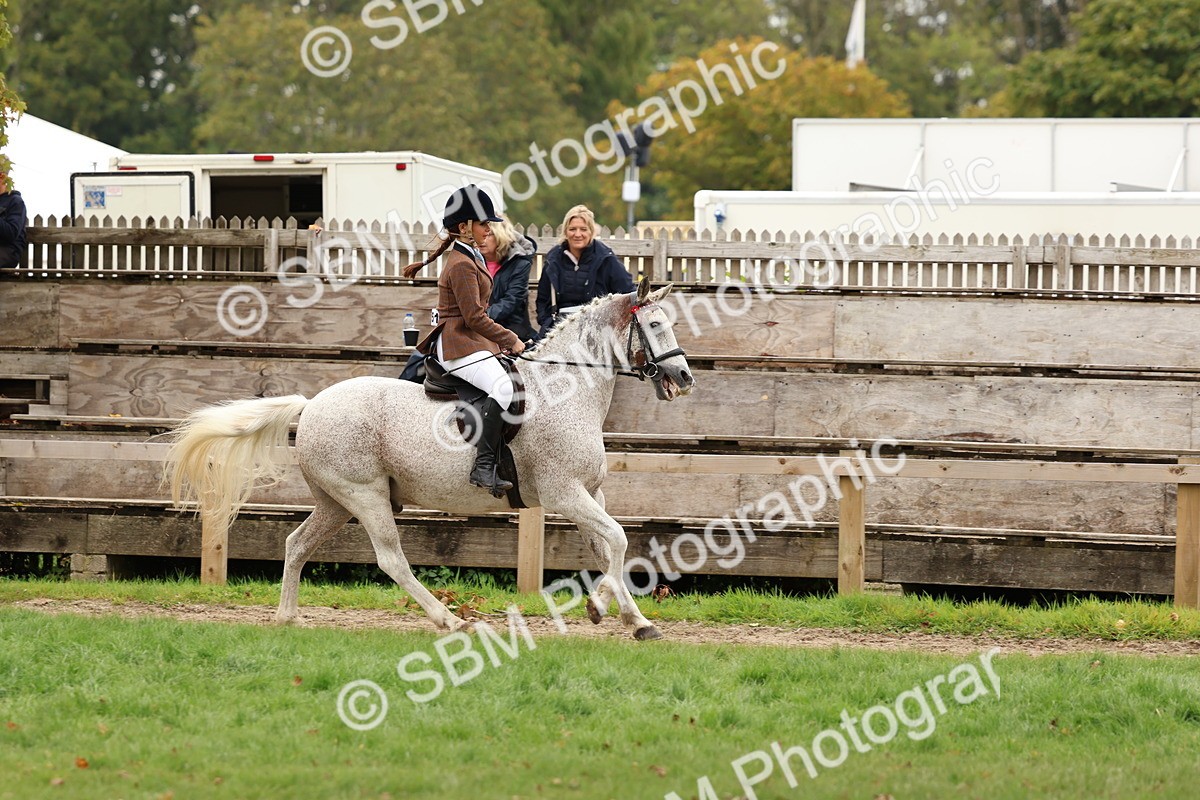 SBM_64541 - S58 - Coloured Pony Ridden