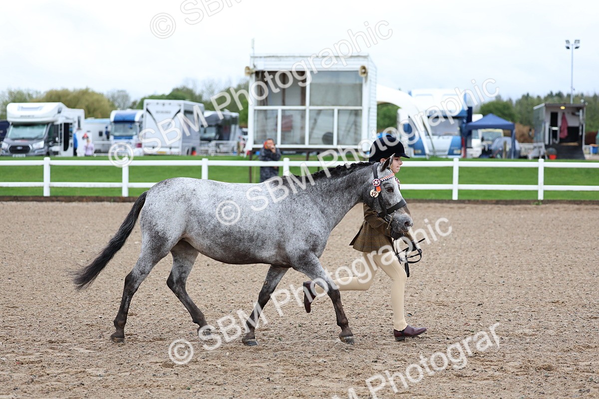 SBM_00255 - Class 13 - Young Handler