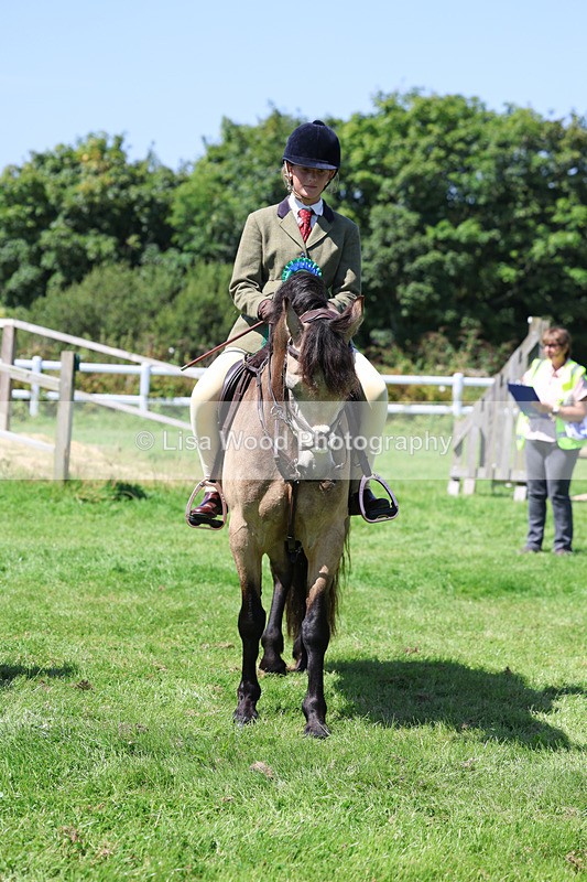 3E7A9273 - Working Hunter Championship