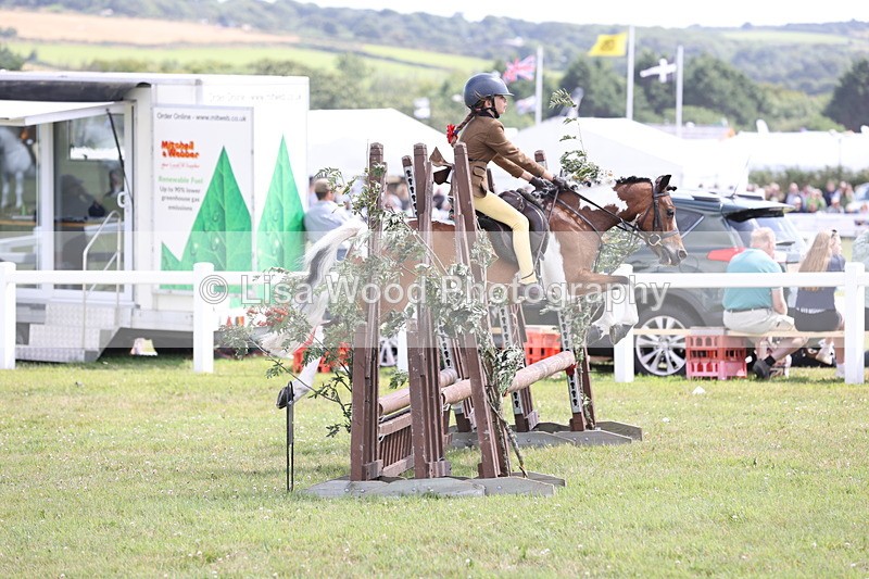 JPP_2166 - Class 19: Working Hunter 60cm