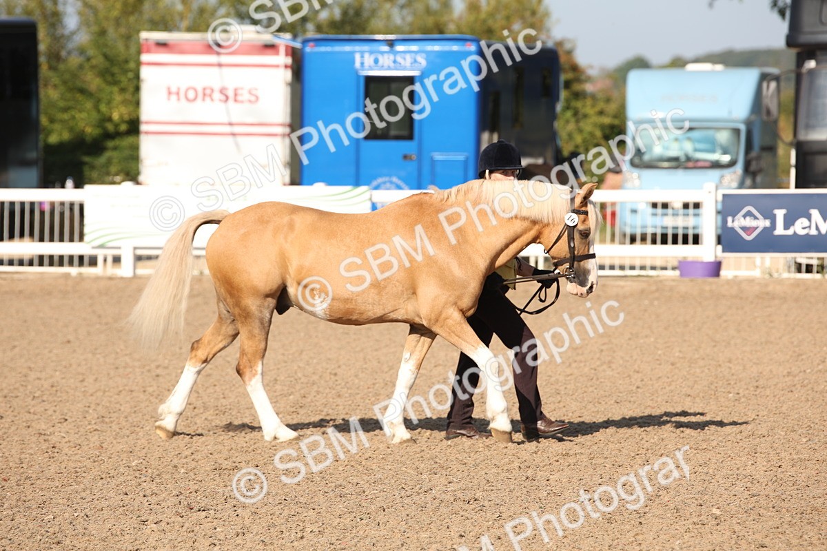 SBM_01427 - Class 15 IH Coloured