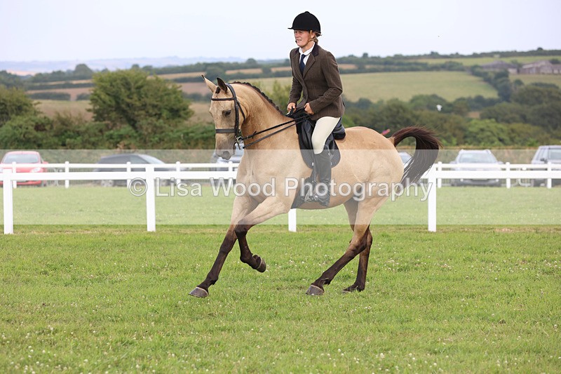 JPP_4370 - Class 26: Working Hunter 1m