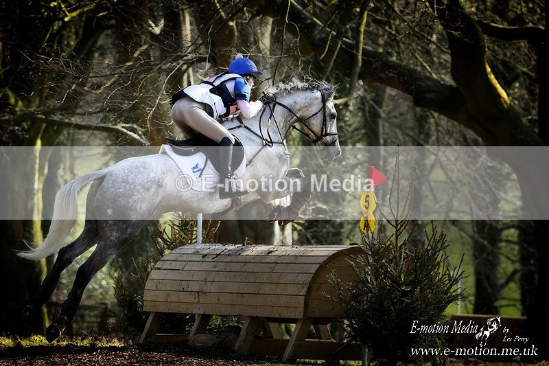 _LEZ0761ab - Equestrian