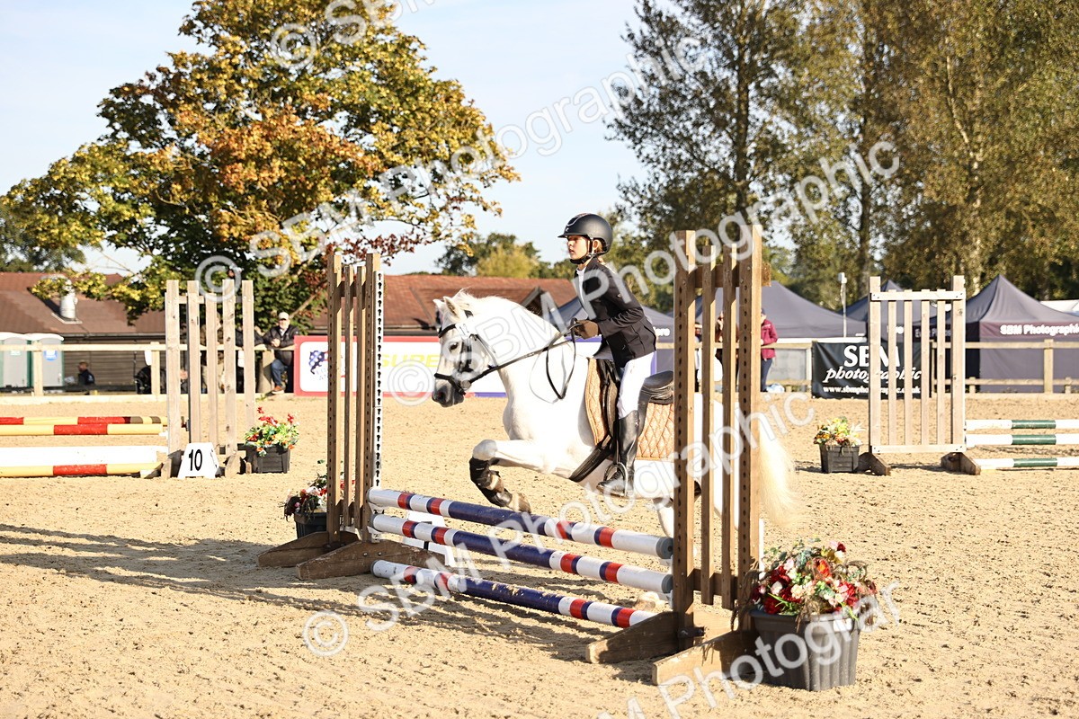 SBM_59506 - J11 - Junior Pony 50cm Championship