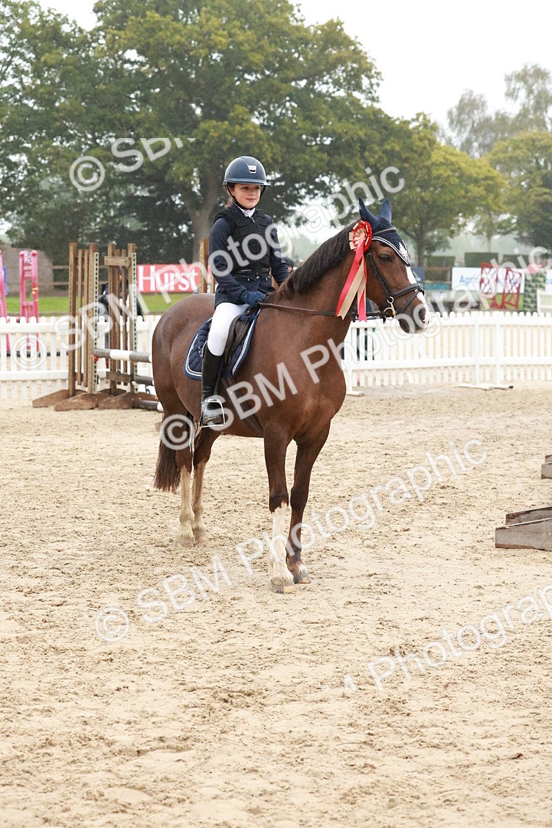 SBM_73578 - Supreme Championship Junior Pony 60cm & 65cm