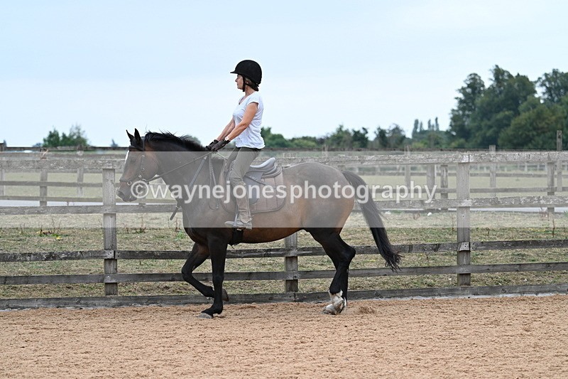 WJ7_9290 - Poles 14:00