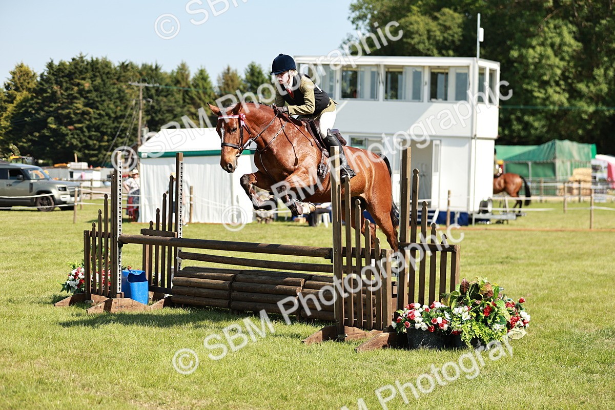 SBM_18809 - Class 114 - RIHS & SEIB Open Working Show Horse