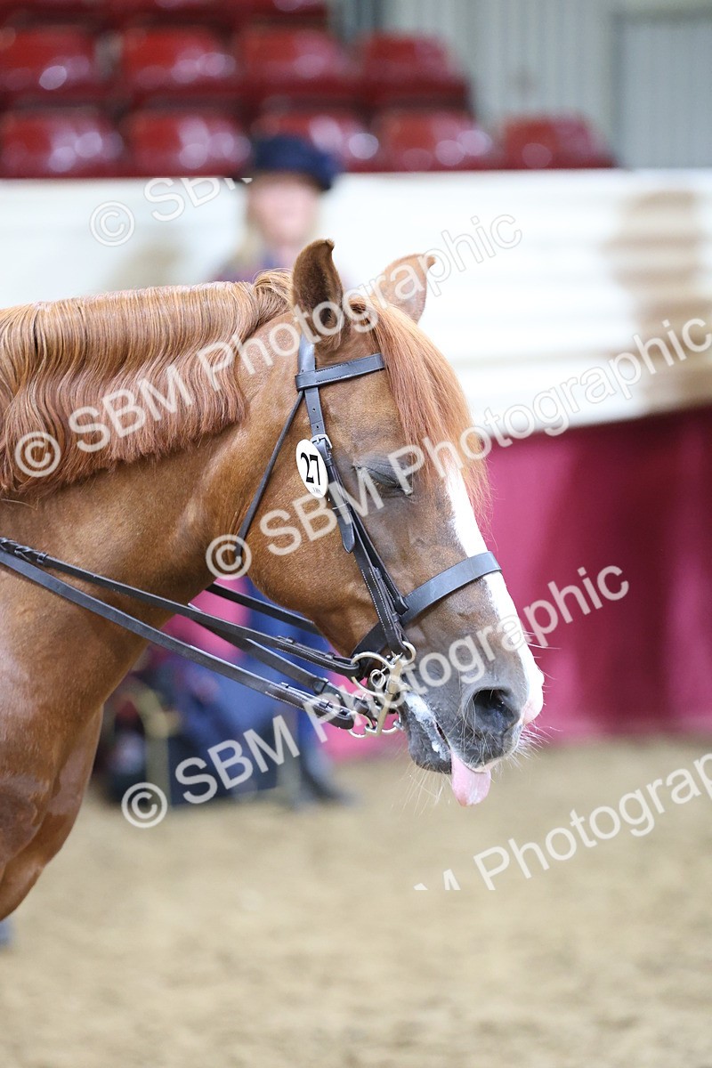 SBM_23639 - Class 904 - Supreme Final - Ridden Diamond