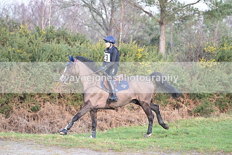 WJ7_6731 - Time 12:00 to 12:07