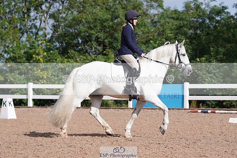 240809A-093320-00273 - Dressage Competition