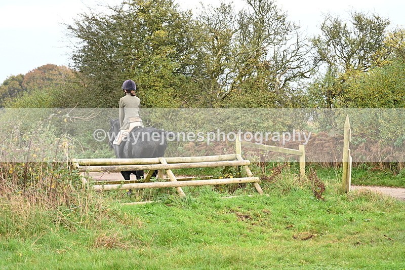 WJ7_0379 - Camera 1 & Last fence