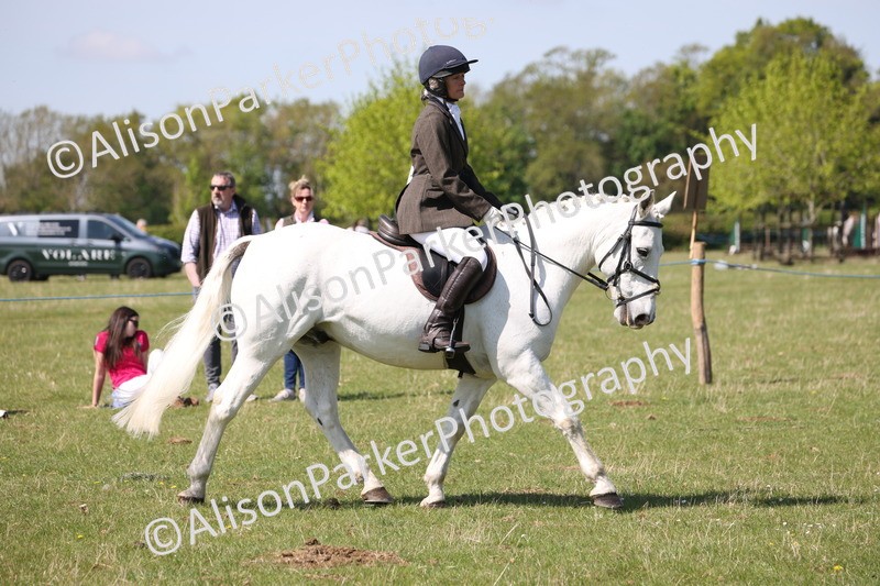 20250427-3176 - Class 33 - Best Pony 14.2hh and Under