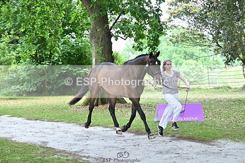 250521A-143455-00097 - A-008-Ada.Marson-IZZIETOP