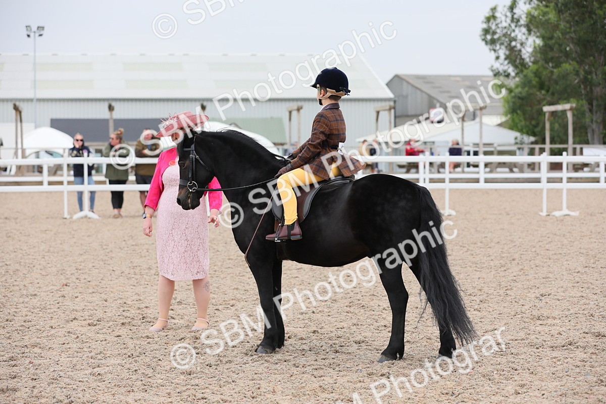 SBM_18136 - Class 316 Best Pony/Rider Combination