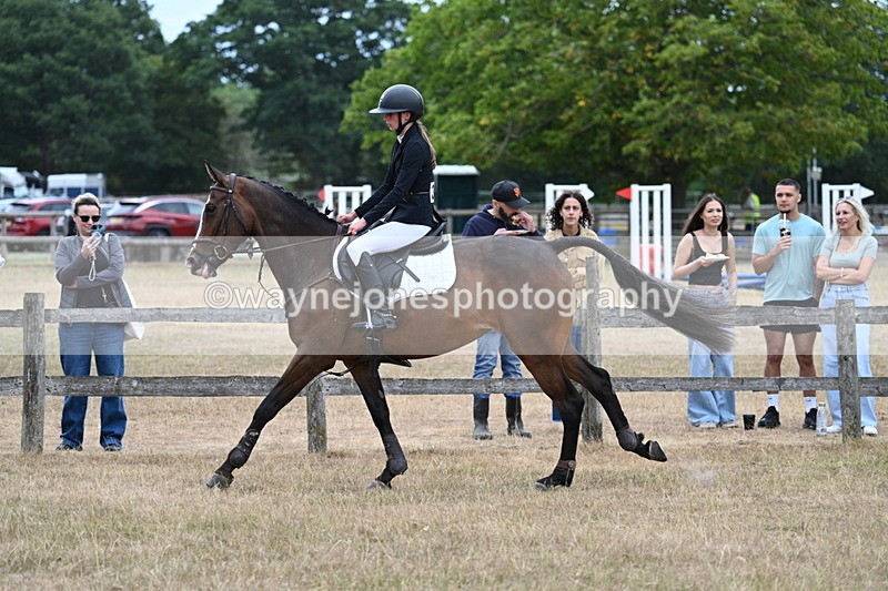 WJ7_7349 - Class 2 Best Rider