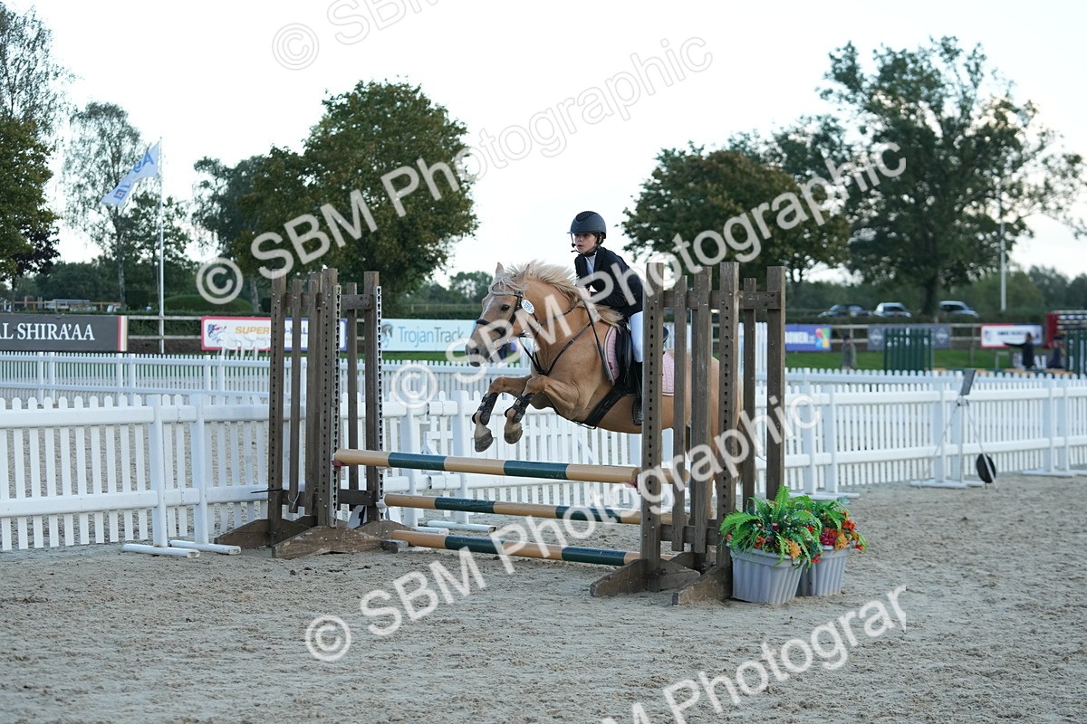 SBM_54202 - Supreme Championship 60cm 65cm