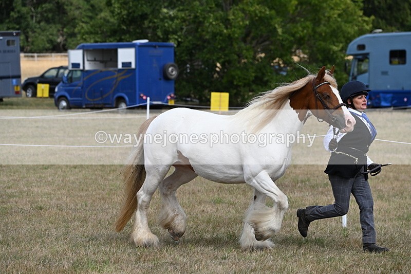 WJ6_6535 - Class 20 In-hand Cob