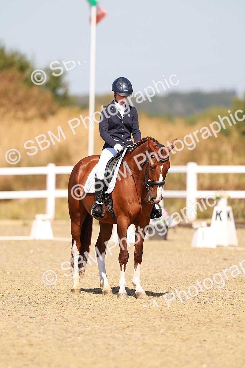 SBM_017647 - Class 9 - N5 Bronze 10.33.11.36