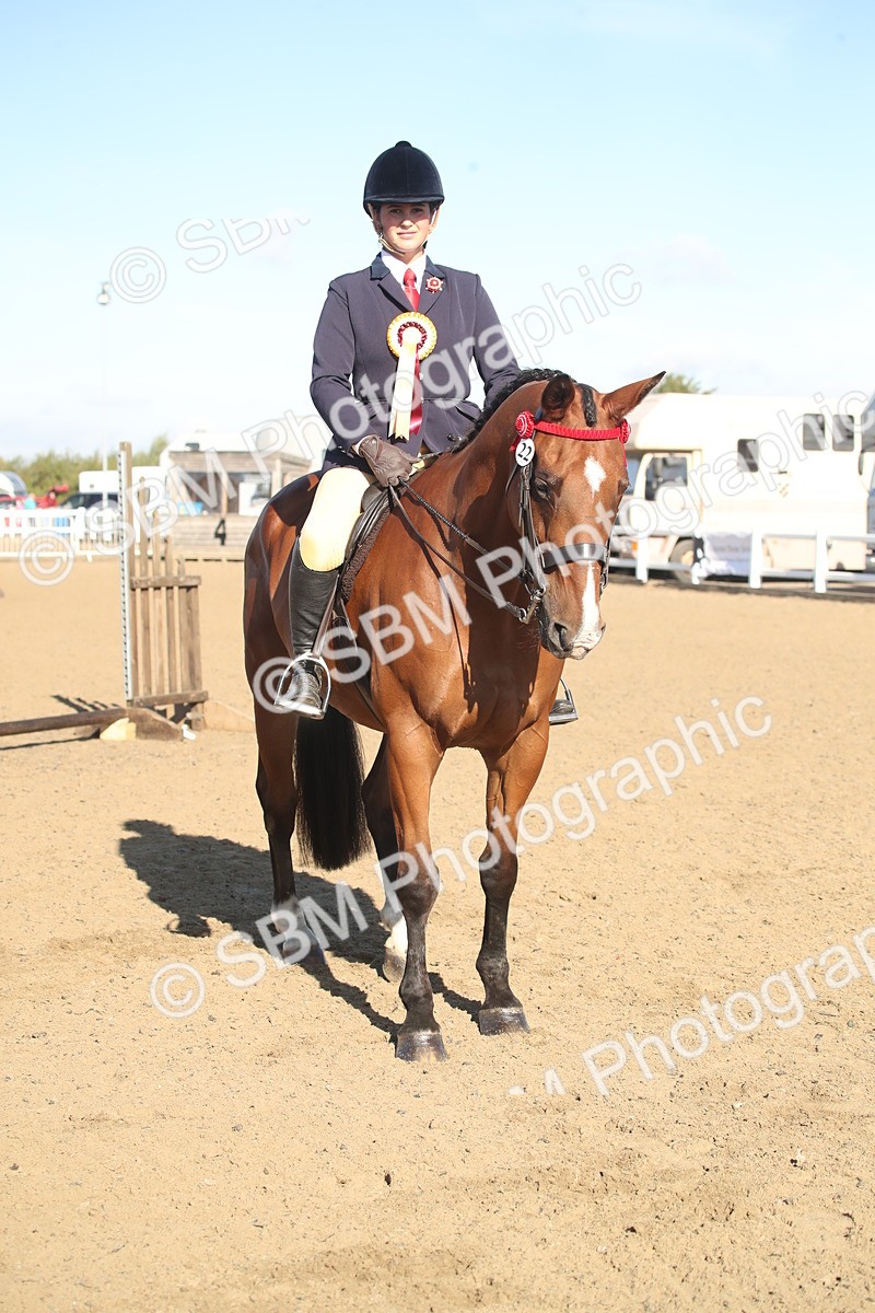 SBM_11351 - Class 501 -Riding Club Pony