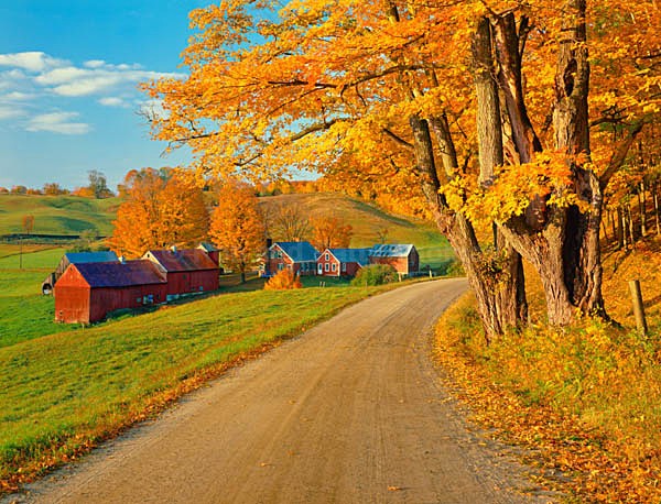 Istock #17483136 - New England Images