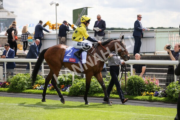 yr11062022r4-4 - Race 4 3.05pm Sky Bet Grand Cup