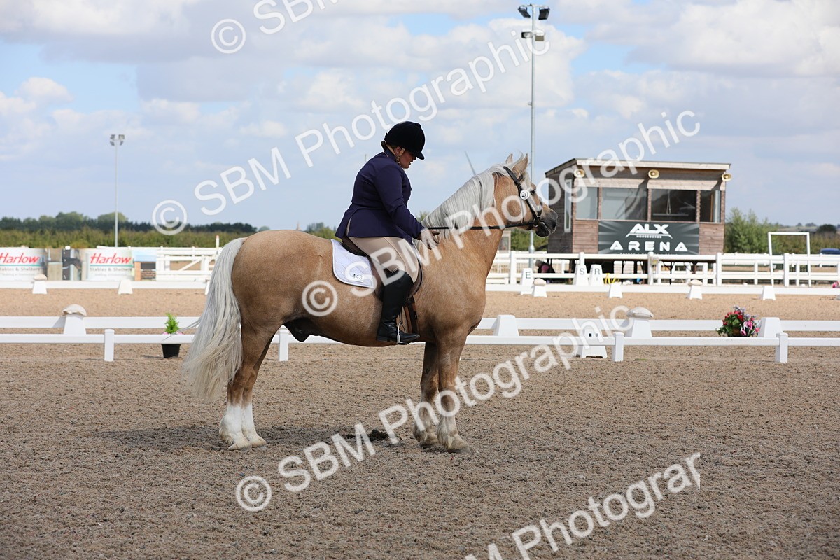 SBM_04046 - Class 31 Prelim 1