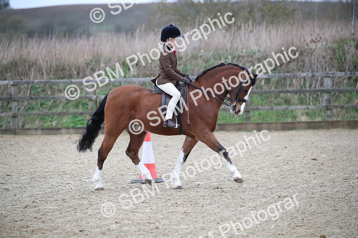 SBM_005894 - Class 10-13 - RIHS Small Large Breeds