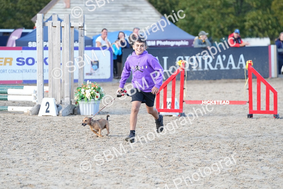 SBM_29093 - J43 - Horse & Hound Open 50cm