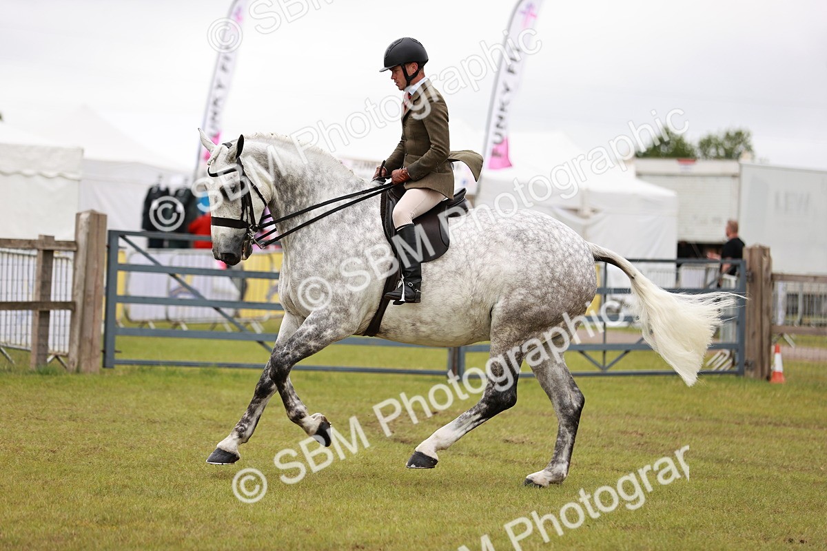 SBM_10933 - Class 81-84 - RIHS Ridden hunters Inc Ladies Hunter