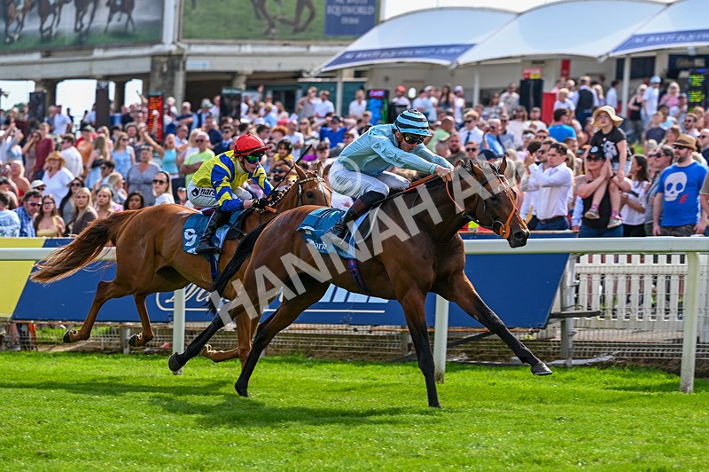 230526-Race 6-Pearl River-7757 - Race 6 16.25pm Royal Yorkshire Regiment Handicap
