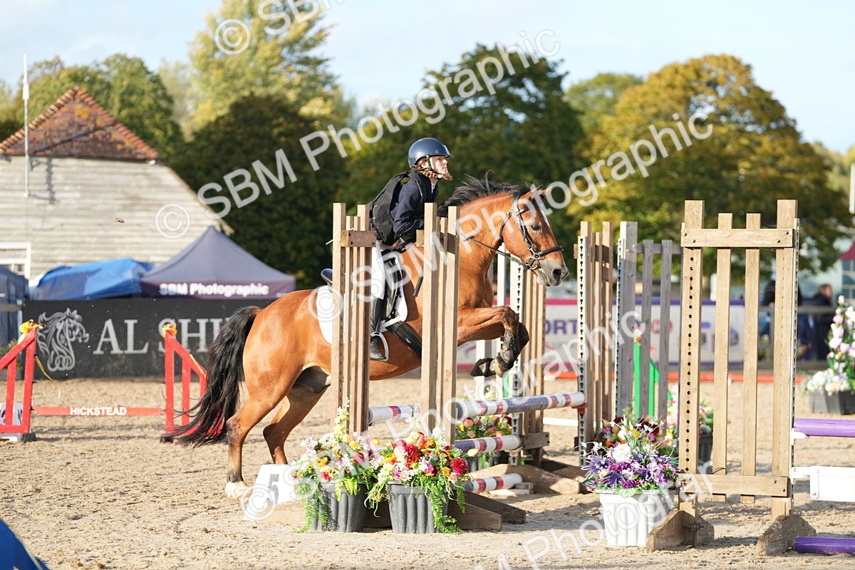 SBM_29363 - J44 - Horse & Hound Open 70cm