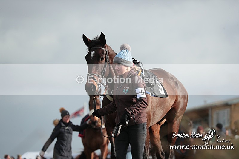 PtP 311223 392 - Larkhill Racing Club Point-to-Point 31/12/23