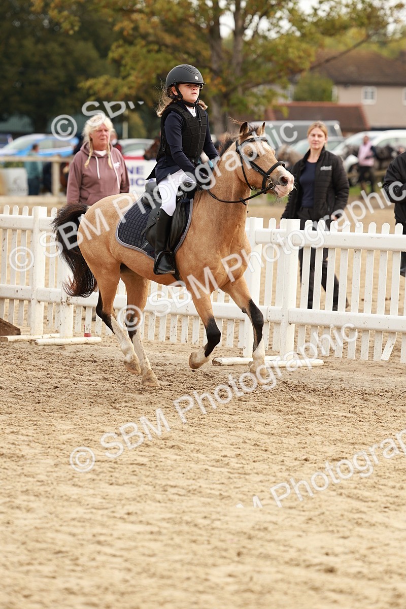 SBM_57681 - J11 - Junior Pony 50cm Championship