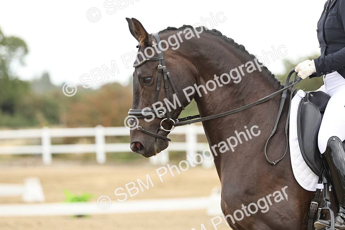 SBM_006595 - Class 21 - Medium 5 Bronze - 9.08-9.48