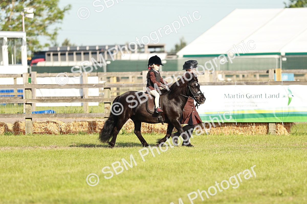 SBM_11018 - Class 106-107 - BSPS LIHS Working Sports Pony