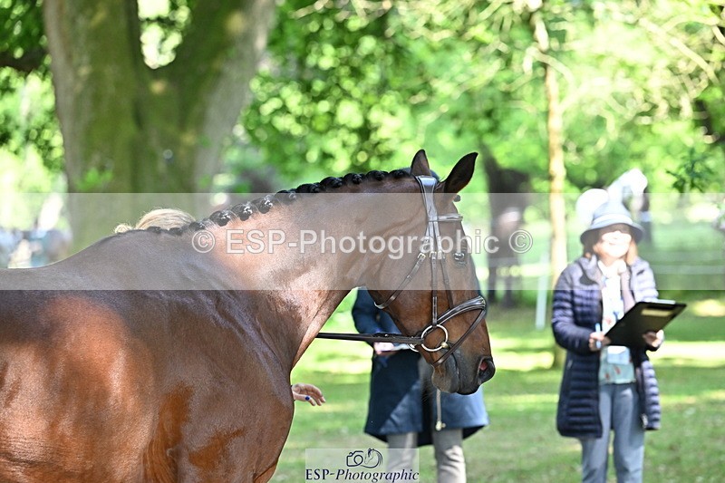 250521A-160341-00892 - C-204-Kirsty.Chabert-OPPOSITION.FIDELITY